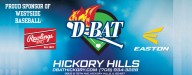 D-Bat Hickory Hills